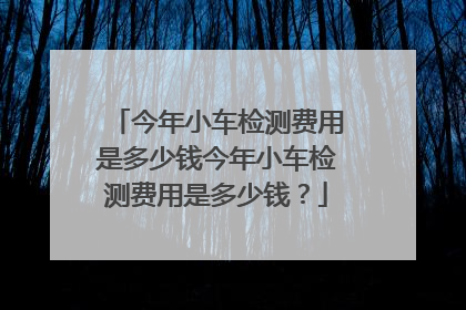 今年小车检测费用是多少钱今年小车检测费用是多少钱？