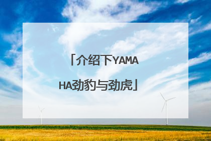 介绍下YAMAHA劲豹与劲虎