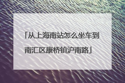 从上海南站怎么坐车到南汇区康桥镇沪南路