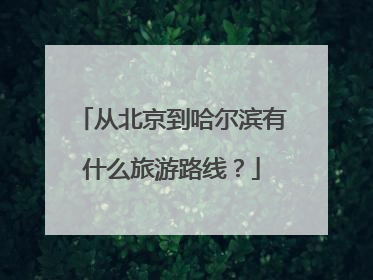 从北京到哈尔滨有什么旅游路线？