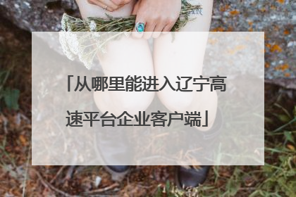 从哪里能进入辽宁高速平台企业客户端