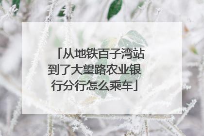 从地铁百子湾站到了大望路农业银行分行怎么乘车