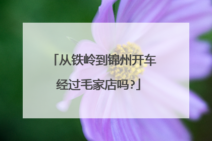 从铁岭到锦州开车经过毛家店吗?