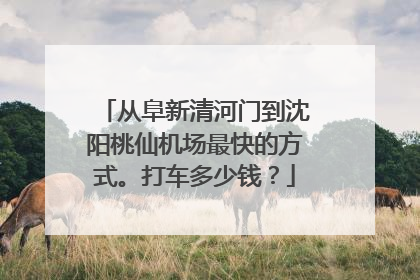 从阜新清河门到沈阳桃仙机场最快的方式。打车多少钱？