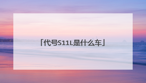 代号S11L是什么车