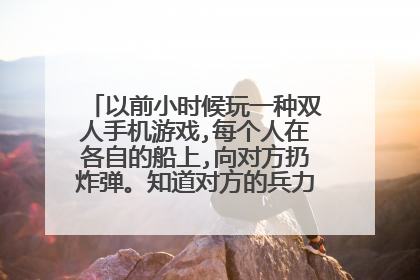 以前小时候玩一种双人手机游戏,每个人在各自的船上,向对方扔炸弹。知道对方的兵力都消耗完毕了，变获