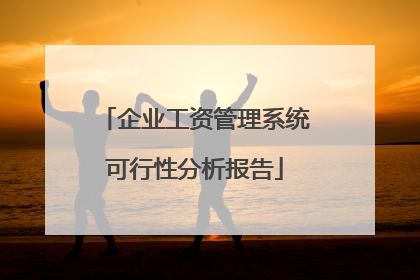 企业工资管理系统可行性分析报告