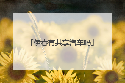 伊春有共享汽车吗