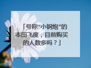 号称“小钢炮”的本田飞度，目前购买的人数多吗？