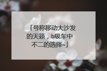 号称移动大沙发的天籁，b级车中不二的选择~