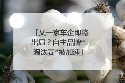 又一家车企即将出局？自主品牌“淘汰赛”被加速