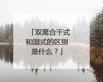 双离合干式和湿式的区别是什么？