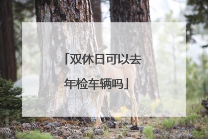 双休日可以去年检车辆吗