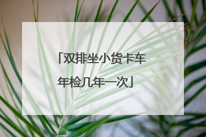 双排坐小货卡车年检几年一次