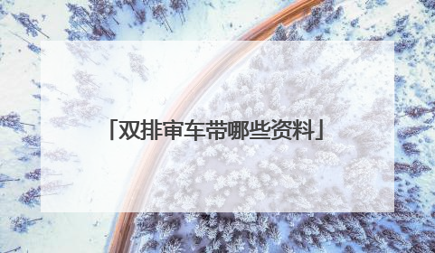 双排审车带哪些资料