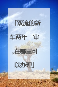双流的新车两年一审,在哪里可以办理