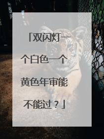 双闪灯一个白色一个黄色年审能不能过？