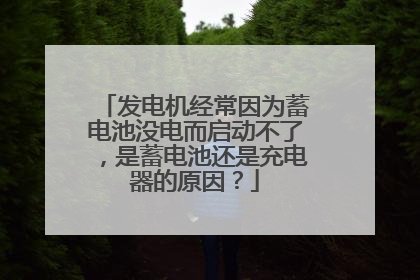 发电机经常因为蓄电池没电而启动不了，是蓄电池还是充电器的原因？