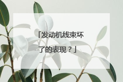 发动机线束坏了的表现？