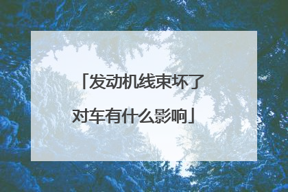 发动机线束坏了对车有什么影响