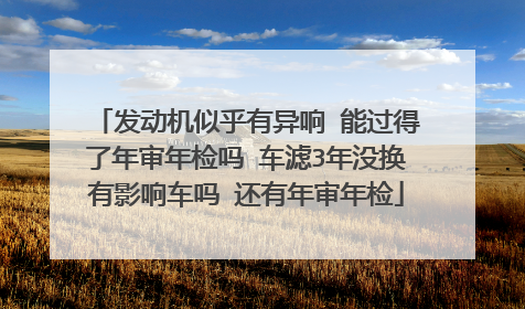 发动机似乎有异响 能过得了年审年检吗 车滤3年没换有影响车吗 还有年审年检