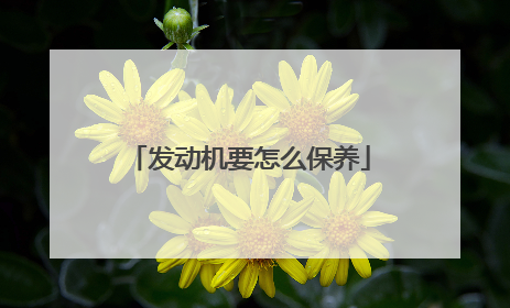 发动机要怎么保养