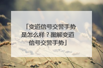 变道信号交警手势是怎么样？图解变道信号交警手势
