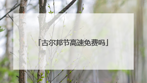 古尔邦节高速免费吗
