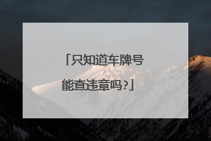 只知道车牌号能查违章吗?