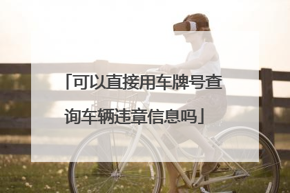 可以直接用车牌号查询车辆违章信息吗
