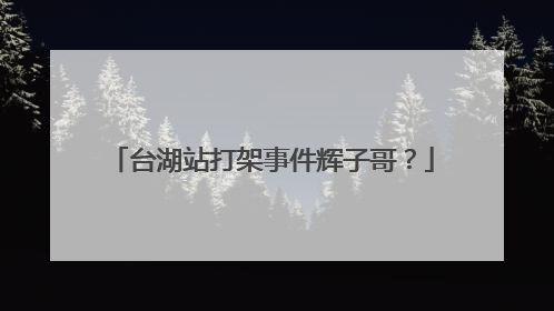 台湖站打架事件辉子哥？