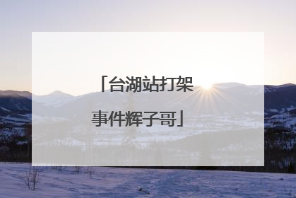 台湖站打架事件辉子哥