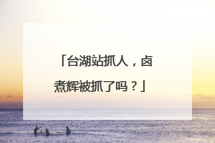 台湖站抓人，卤煮辉被抓了吗？