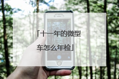 十一年的微型车怎么年检