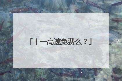 十一高速免费么？