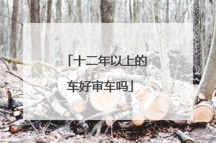 十二年以上的车好审车吗