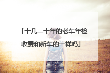 十几二十年的老车年检收费和新车的一样吗