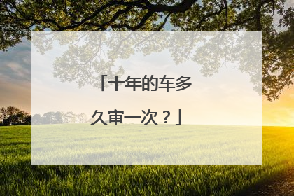 十年的车多久审一次？