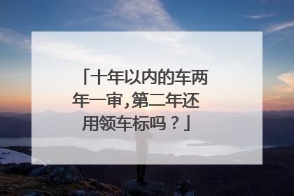十年以内的车两年一审,第二年还用领车标吗？
