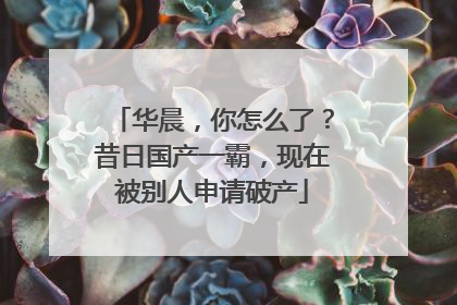 华晨，你怎么了？昔日国产一霸，现在被别人申请破产