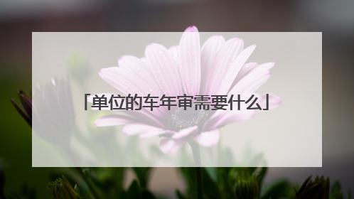 单位的车年审需要什么