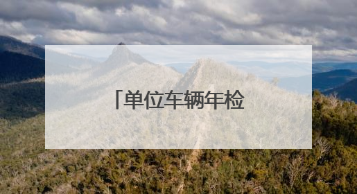 单位车辆年检的资料有哪些