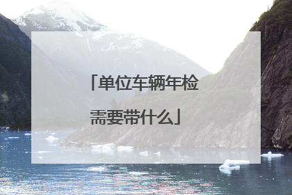 单位车辆年检需要带什么