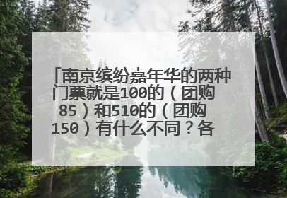 南京缤纷嘉年华的两种门票就是100的（团购85）和510的（团购150）有什么不同？各有缤纷豆多少？