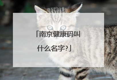 南京健康码叫什么名字?