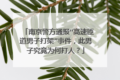南京警方通报“高速匝道男子打架”事件，此男子究竟为何打人？