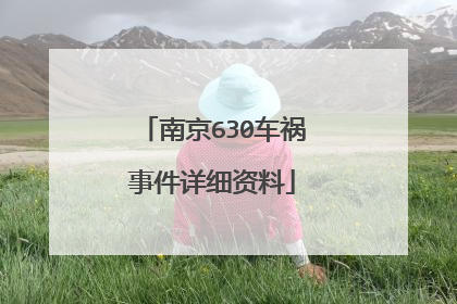 南京630车祸事件详细资料