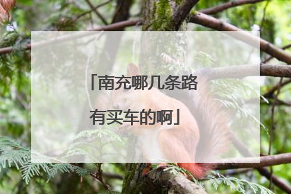 南充哪几条路有买车的啊