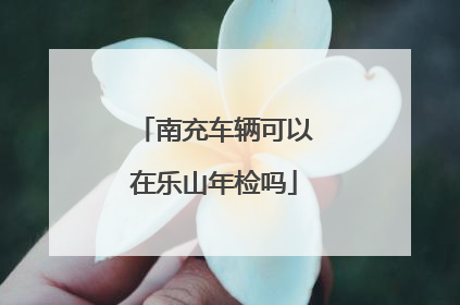 南充车辆可以在乐山年检吗