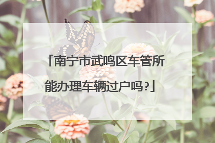 南宁市武鸣区车管所能办理车辆过户吗?